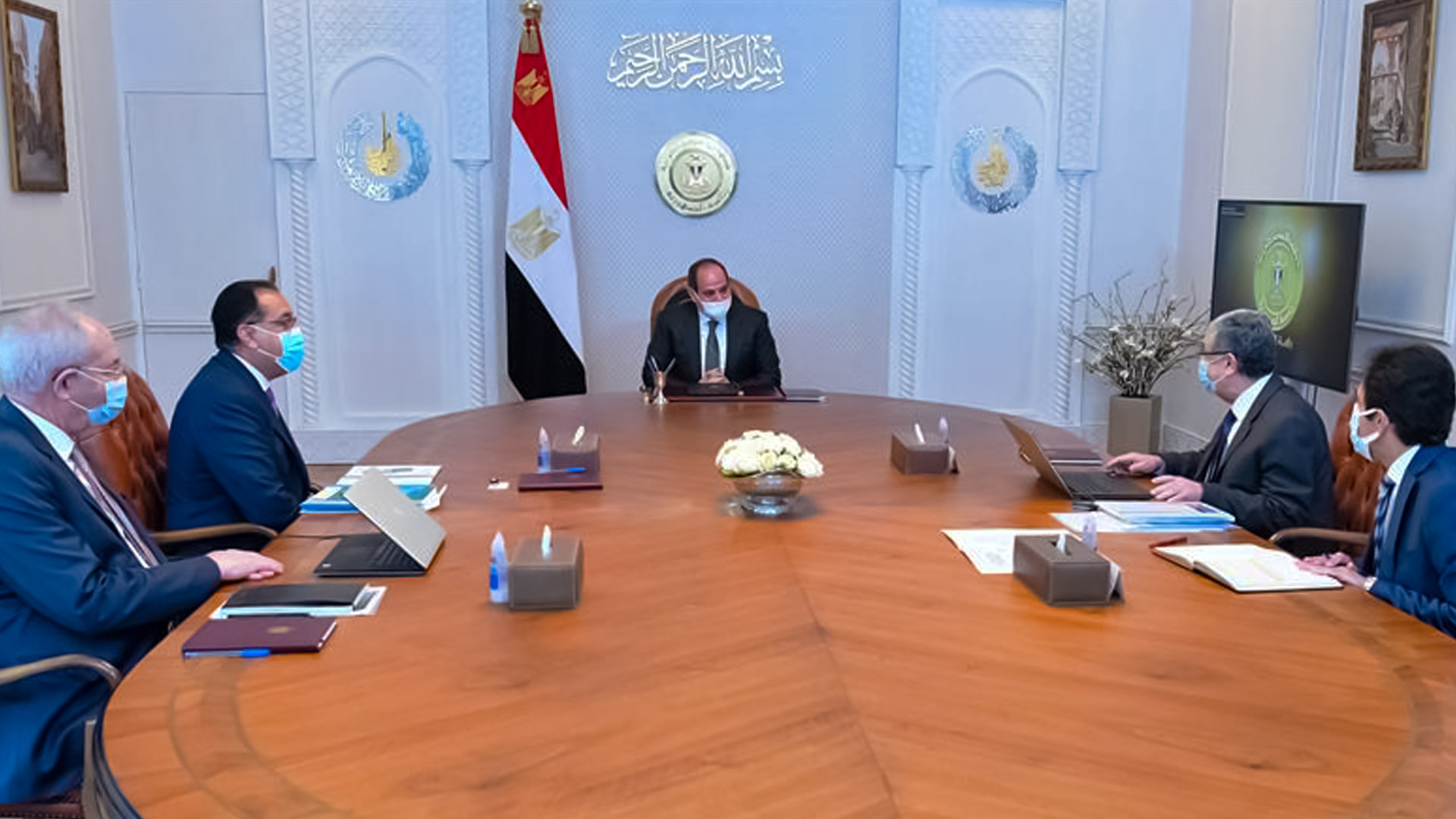 President El-Sisi discusses green hydrogen production projects