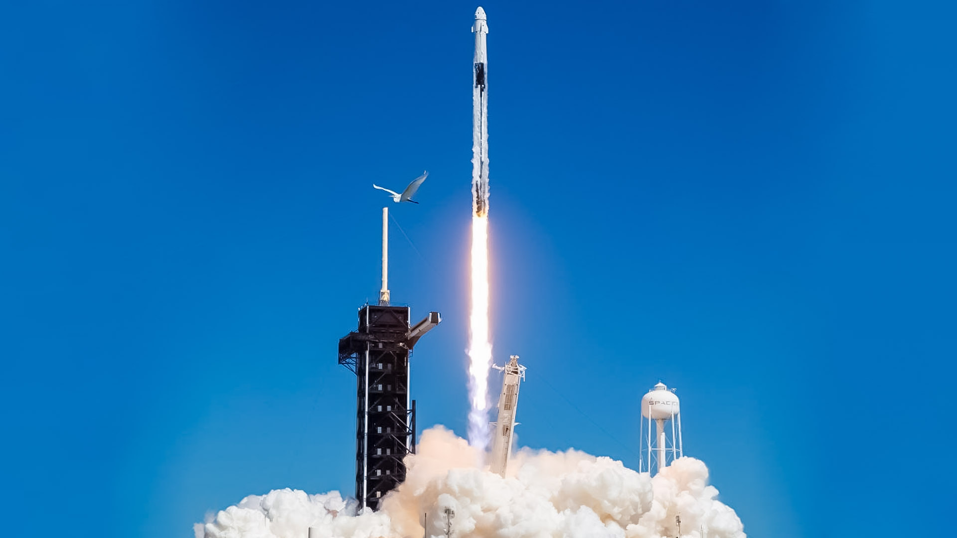 Crewed mission to the International Space Station launched by NASA and SpaceX